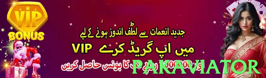pakaviator App - 5