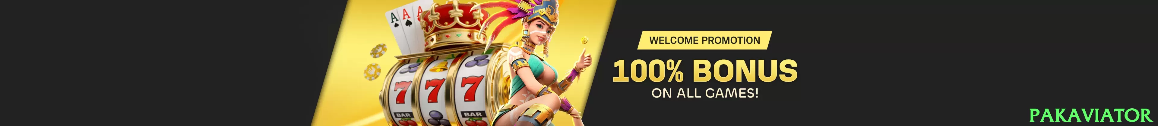 pakaviator Pakistan - 3